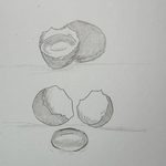 Aperçu du PDF de la formation Les bases du dessin : œuf entier, jaune dans sa coquille et coquilles cassées au crayon