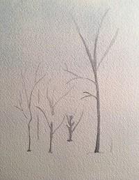 Dessiner un arbre facilement – exemple d’arbre au crayon pour apprendre les bases du dessin pas à pas.