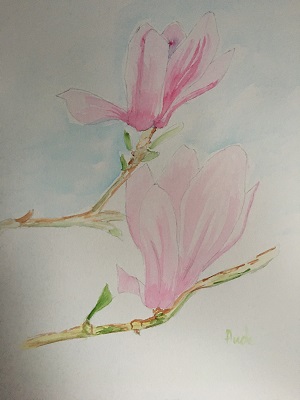Magnolias à l'aquarelle