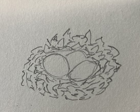 Nid en perspective trois-quarts avec œufs visibles et traits courbes autour