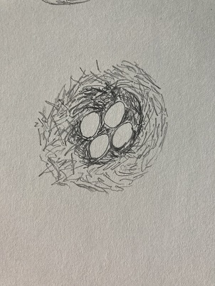 Nid vu du dessus avec œufs dessinés au centre et hachures autour