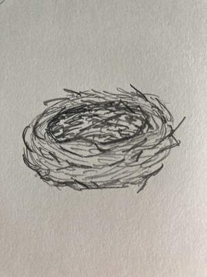 Nid au crayon avec zones d’ombres renforcées à l’intérieur et sous la base