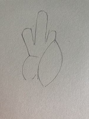 dessin poule crête yeux facile