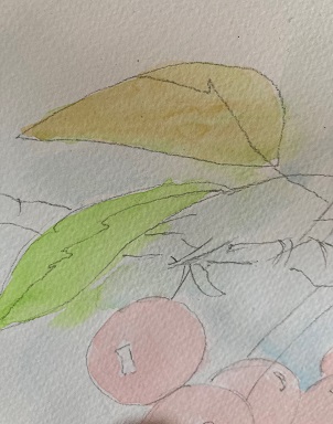 lavis ocre jaune posé sur la feuille de cerisier