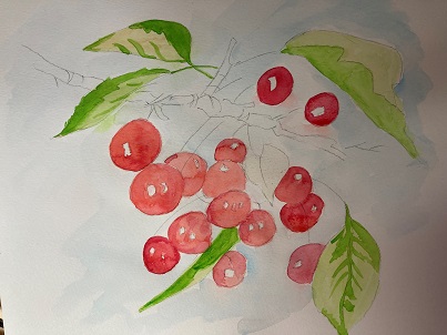 cerises peintes avec rouge carmin sur les zones d’ombre