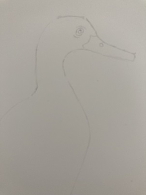 Comment peindre un canard rapidement