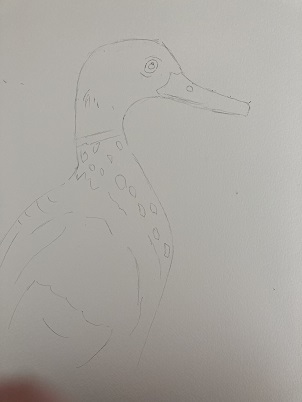 Comment peindre un canard rapidement