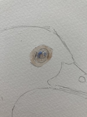 Comment peindre un canard rapidement