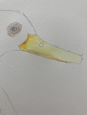 Comment peindre un canard rapidement