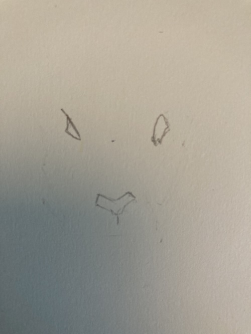 proportions du visage du mouton au crayon