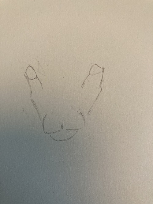 construction du visage du mouton pas à pas