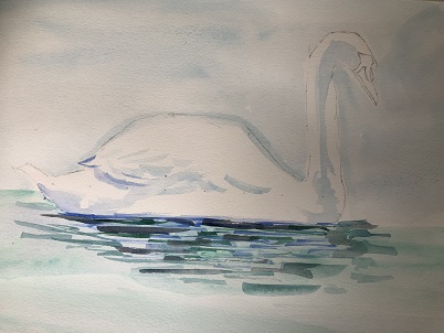 reflets horizontaux du cygne dans l’eau peints à l’aquarelle