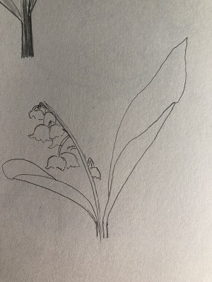 Tutoriel : dessiner du muguet en quelques minutes seulement