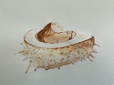 châtaigne aquarelle ombres détails finition