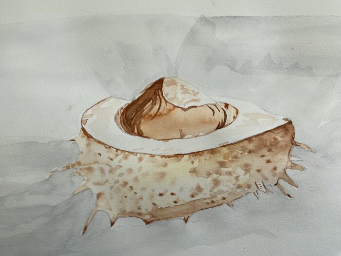 châtaignes aquarelle facile automne rendu final réaliste