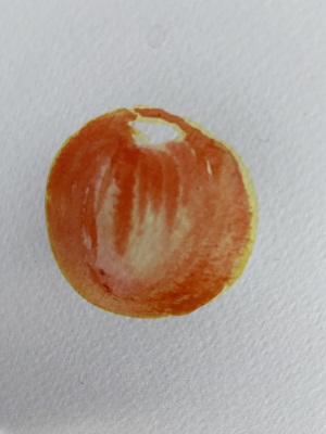 dégradé rouge jaune pomme aquarelle sans dessin volume débutant