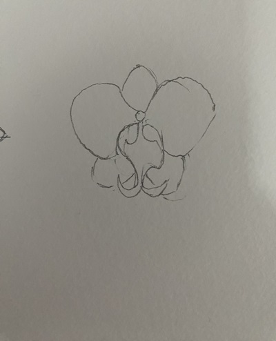 forme du pétale central de l’orchidée dessinée simplement