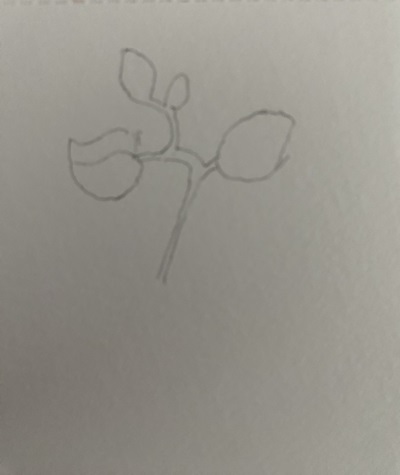 Comment dessiner des orchidées : Tutoriel facile pour débutants