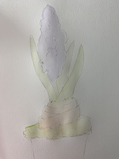 lavis violet sur fleur de jacinthe aquarelle
