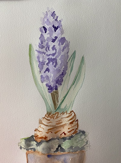 jacinthe aquarelle facile fleurs printemps debutant