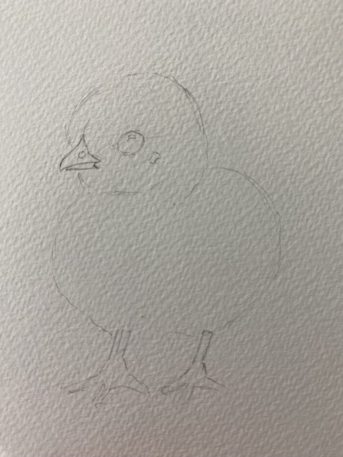 croquis simple d’un poussin avec formes géométriques visibles