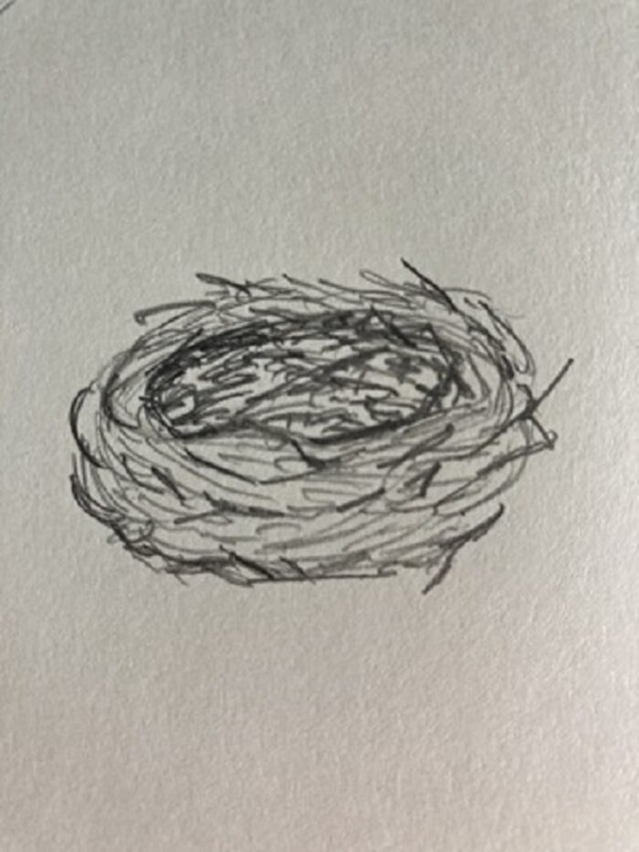 Dessin de nid avec traits circulaires e