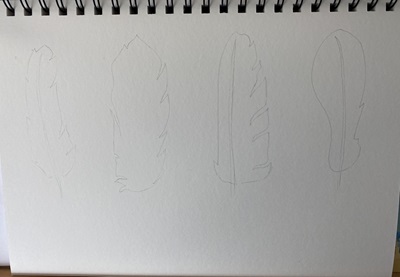 dessin simple de plumes au crayon