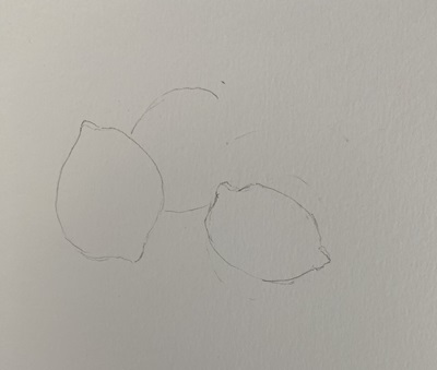 Dessin simple au crayon d’un citron et d’une mandarine avec formes ovales et feuille