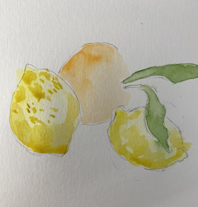 Comparaison de texture de peau de citron peinte au pinceau et à l’éponge en aquarelle