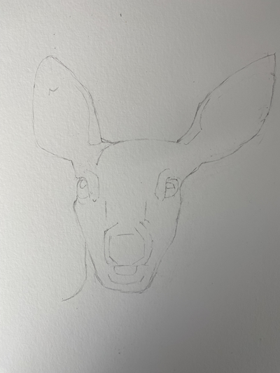 Esquisse de base d'une biche pour peinture à l'aquarelle