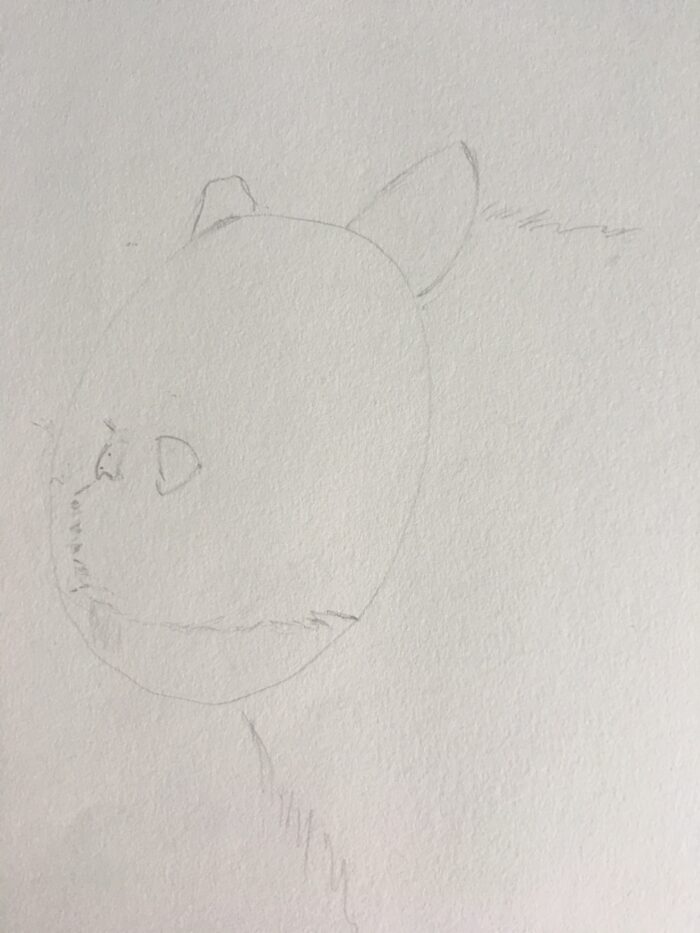 Forme ovale servant de base pour dessiner la tête d’un chat angora de profil