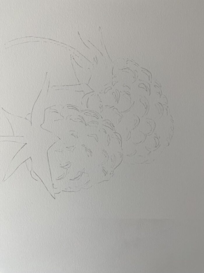 dessin simple de framboise au crayon étape par étape