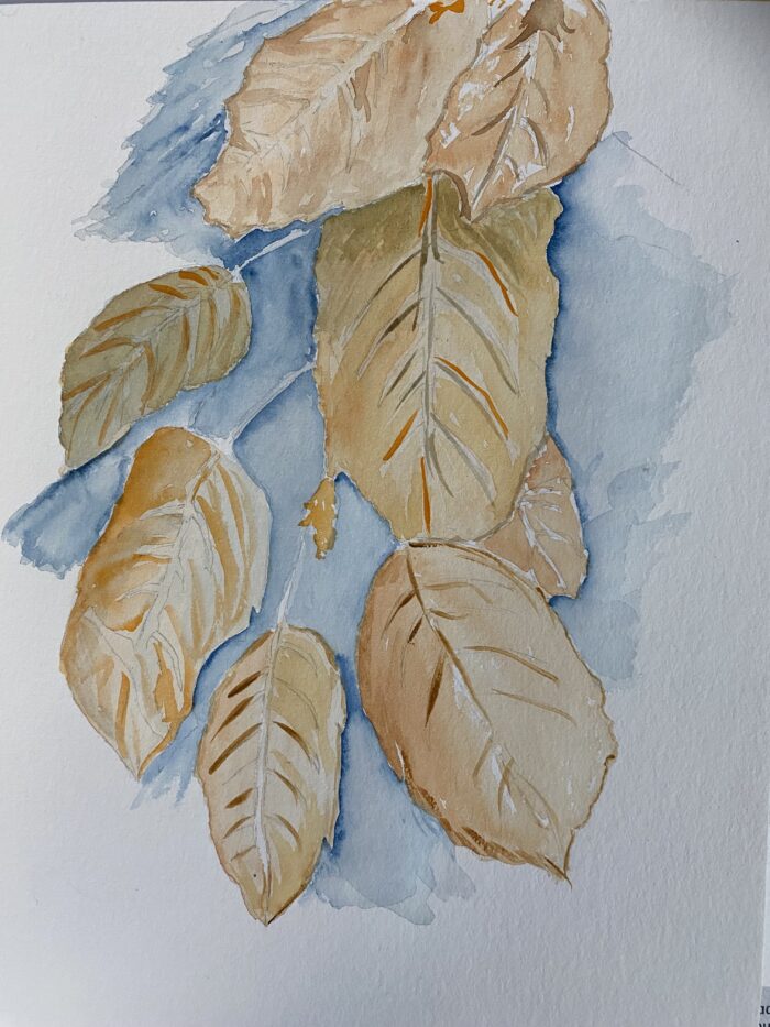 Feuilles d'automne peintes à l'aquarelle, avec des couleurs automnales vives et des détails de nervures visibles.