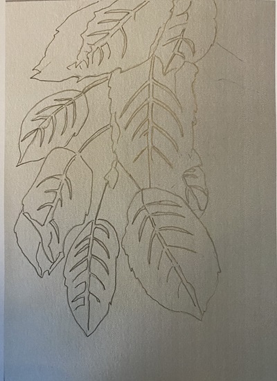 Esquisse d'une feuille d'automne, montrant les contours simples et les détails des nervures."