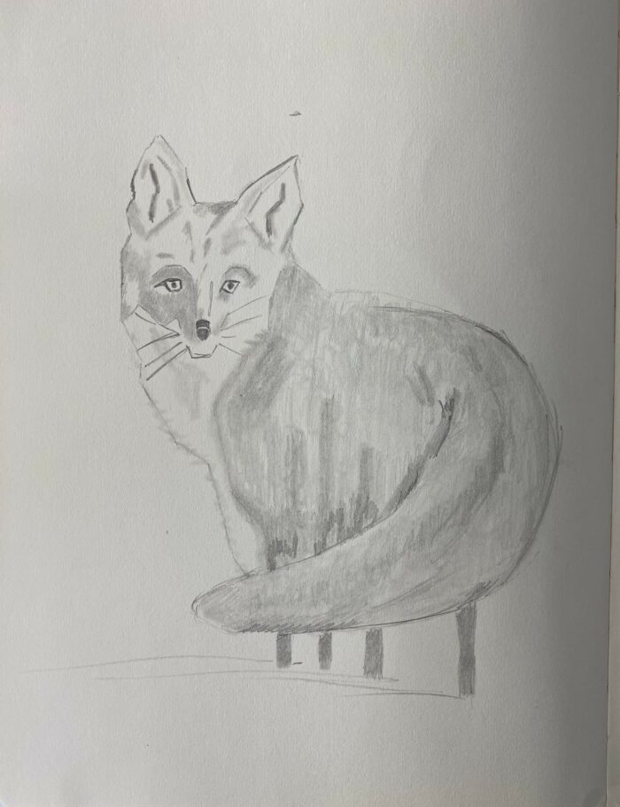 Dessiner un renard facilement