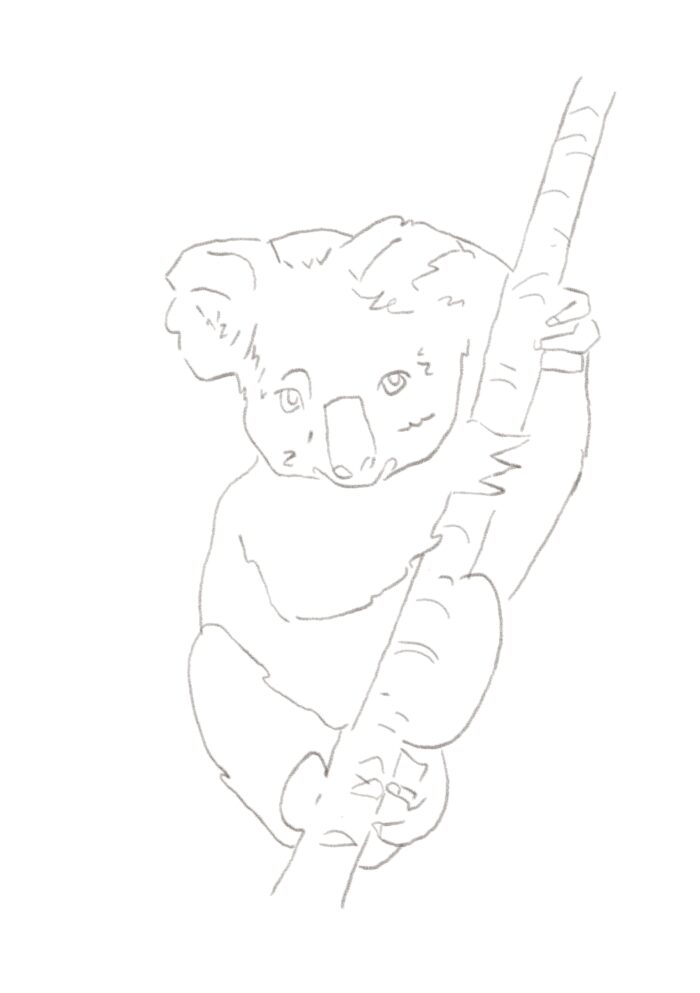 dessin koala corps accroché à un arbre