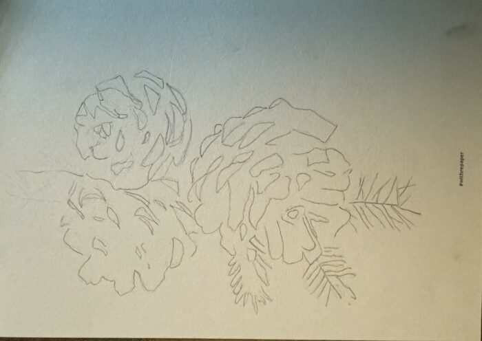 Comment dessiner une pomme de pin