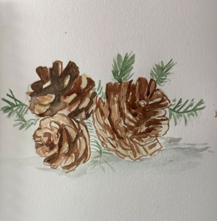 comment peindre une pomme de pin à l'aquarelle