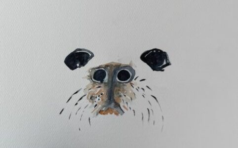 museau d une otarie à l'aquarelle