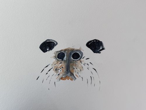 Peindre une otarie à l’aquarelle : techniques et astuces