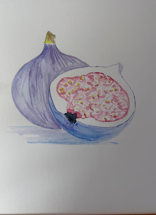 figue à l’aquarelle facile