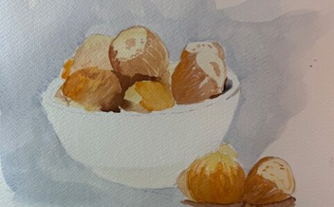 Peindre une noisette à l’aquarelle – tutoriel et symbolique