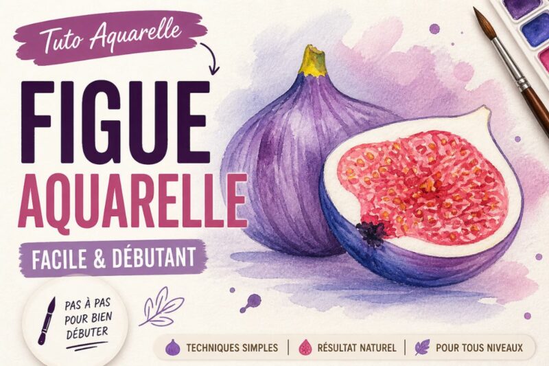 Peindre une figue à l’aquarelle facilement avec un tutoriel pas à pas pour débutant