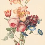 Aquarelle de fleurs pastel – illustration libre de droit pour apprendre à peindre des fleurs à l’aquarelle