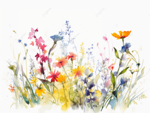 Démonstration mouillé sur mouillé – technique utilisée pour peindre des fleurs à l’aquarelle facilement