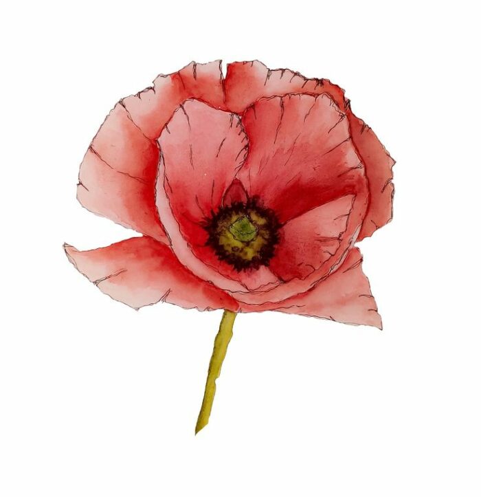 peindre fleur aquarelle débutant