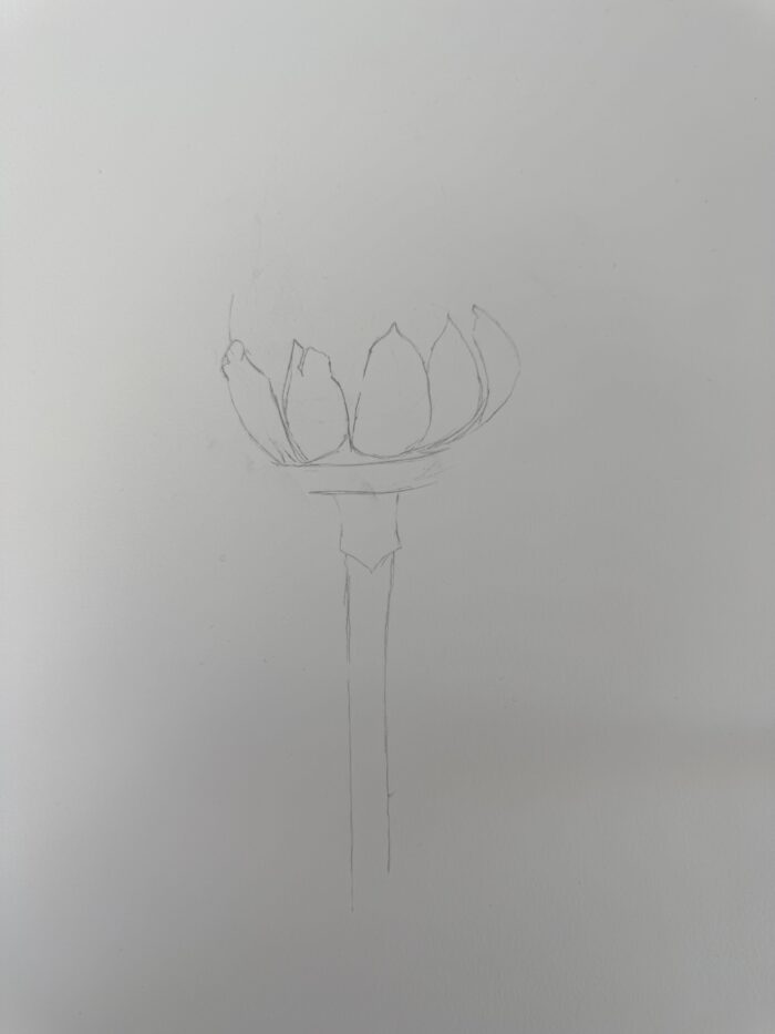 dessiner un artichaut facilement étape 1 tige socle premiers pétales